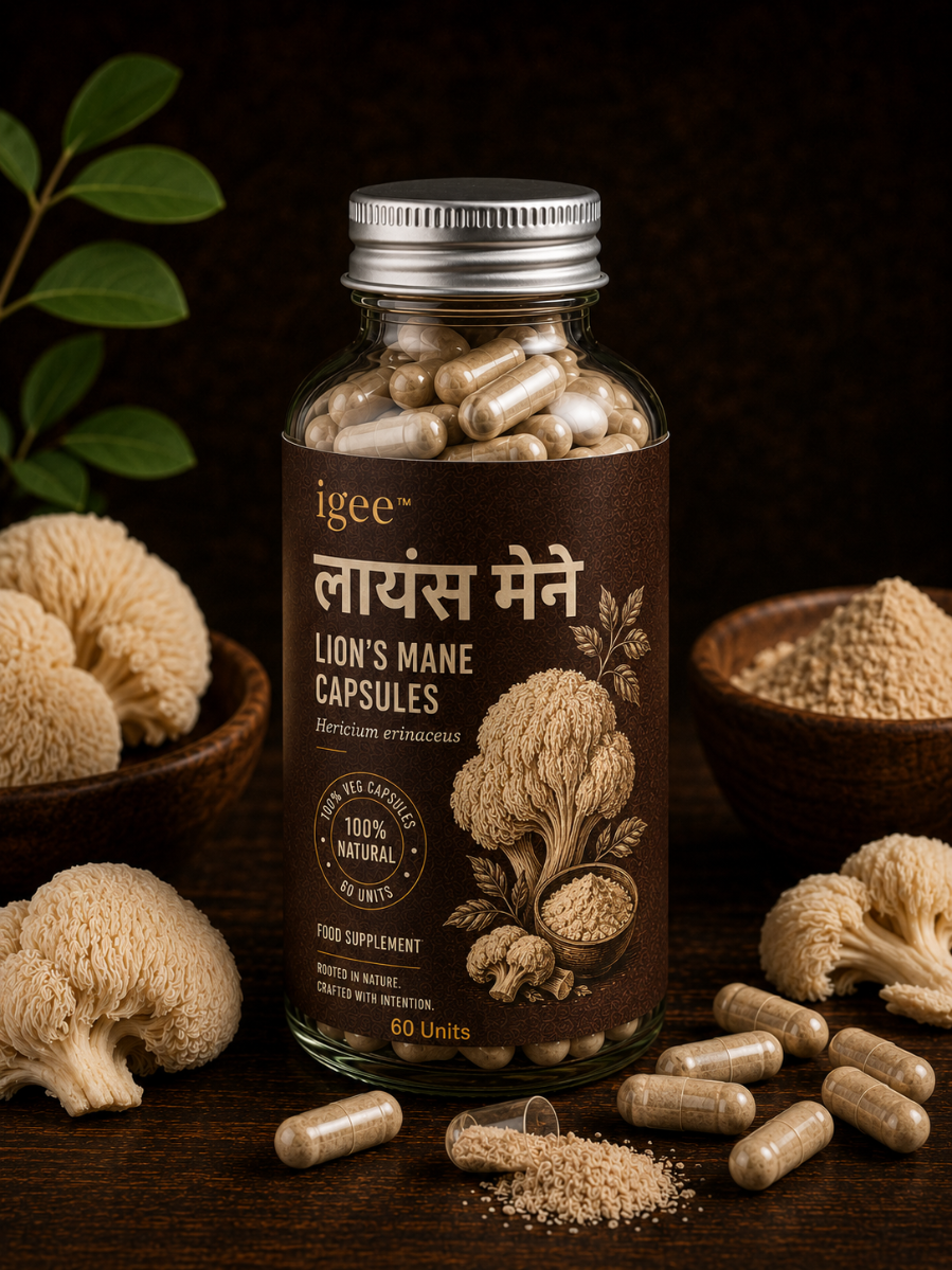 LION'S MANE CAPSULES – BRAIN & FOCUS MUSHROOM